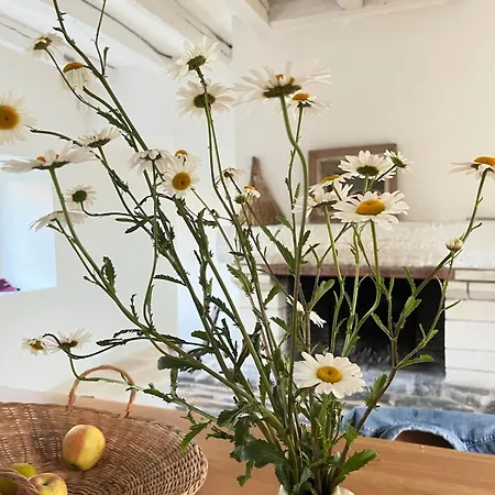 Villa Avec Piscine, Tennis En Champagne Proche épernay&paris Les Essarts-les-Sezanne